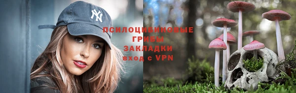 твердый Нефтегорск