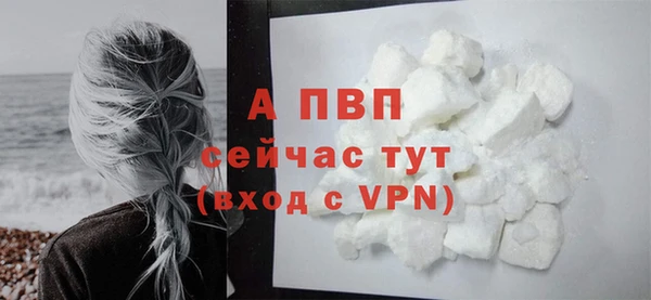 ГАЛЛЮЦИНОГЕННЫЕ ГРИБЫ Нефтекумск