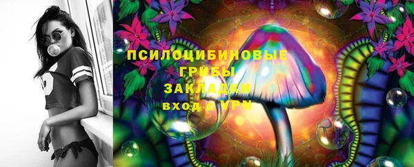 твердый Нефтегорск