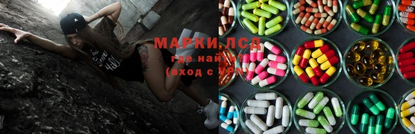 ПСИЛОЦИБИНОВЫЕ ГРИБЫ Новозыбков