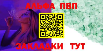 спиды Кингисепп