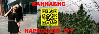 мет Камышлов