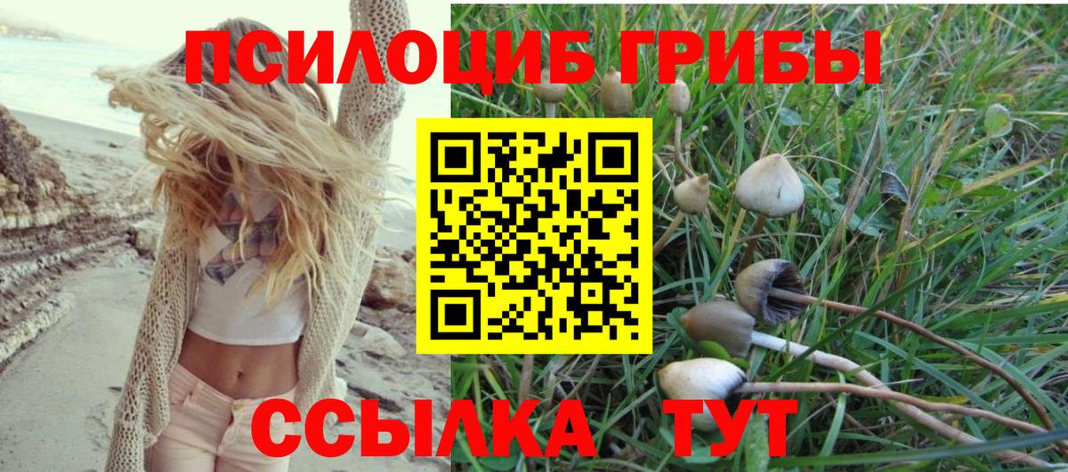 Лысьва  Галлюциногенные грибы прущие грибы  Вход с VPN 